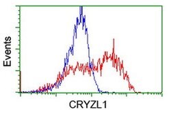 CRYZL1 Monoclonal Antibody (OTI1D9), TrueMAB , OriGene 100 &mu;L; Unconjugated:Antibodies,