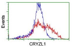 CRYZL1 Mouse anti-Human, Clone: OTI2F9, lyophilized, TrueMAB 100 &mu;g;