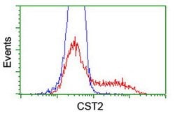 CST2 Mouse anti-Human, Clone: OTI5C2, lyophilized, TrueMAB 100 &mu;g; Unconjugated:Antibodies,