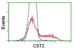CST2 Monoclonal Antibody (OTI5C2), TrueMAB , OriGene 30 &mu;L | Buy Online | OriGene | Fisher Scientific