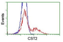 CST2 Monoclonal Antibody (OTI2D6), TrueMAB , OriGene:Antibodies:Primary
