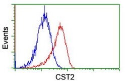 CST2 Monoclonal Antibody (OTI2D6), TrueMAB , OriGene:Antibodies:Primary