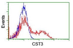 CST3 Mouse anti-Human, Clone: OTI7G8, lyophilized, TrueMAB 100 &mu;g; Unconjugated:Antibodies,