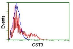 CST3 Mouse anti-Human, Clone: OTI7B8, lyophilized, TrueMAB 100 &mu;g; Unconjugated:Antibodies,