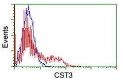 CST3 Monoclonal Antibody (OTI7B8), TrueMAB , OriGene:Antibodies:Primary