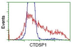 CTDSP1 Monoclonal Antibody (OTI1G2), TrueMAB , OriGene 30 &mu;L; Unconjugated:Antibodies,