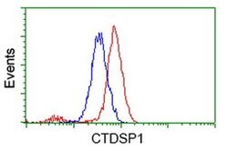 CTDSP1 Monoclonal Antibody (OTI1A10), TrueMAB , OriGene 30 &mu;L; Unconjugated:Antibodies,