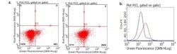 CTLA4 Mouse anti-Human, Clone: OTI8F1, lyophilized, TrueMAB 100 &mu;g;