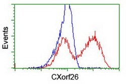 CXorf26 Mouse anti-Human, Clone: OTI1F3, lyophilized, TrueMAB 100 &mu;g;