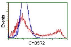 CYB5R2 Monoclonal Antibody (OTI4B9), TrueMAB , OriGene 100 &mu;L; Unconjugated:Antibodies,