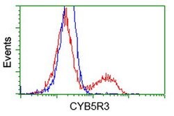 CYB5R3 Mouse anti-Canine, Human, Clone: OTI2A10, lyophilized, TrueMAB 100