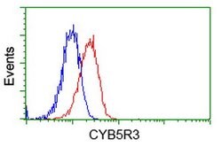 CYB5R3 Mouse anti-Canine, Human, Clone: OTI2A10, lyophilized, TrueMAB 100
