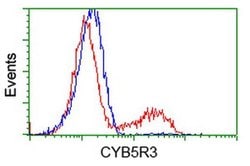 CYB5R3 Monoclonal Antibody (OTI1E3), TrueMAB , OriGene 30 &mu;L; Unconjugated:Antibodies,