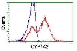 CYP1A2 Mouse anti-Human, Clone: OTI6E2, lyophilized, TrueMAB 100 &mu;g;