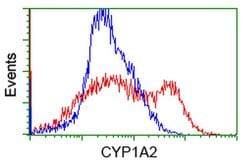 CYP1A2 Monoclonal Antibody (OTI7D12), TrueMAB , OriGene 30 &mu;L; Unconjugated:Antibodies,
