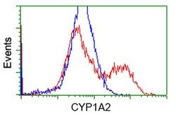 CYP1A2 Monoclonal Antibody (OTI8F1), TrueMAB , OriGene 30 &mu;L; Unconjugated:Antibodies,