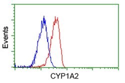 CYP1A2 Monoclonal Antibody (OTI8F1), TrueMAB , OriGene 30 &mu;L; Unconjugated:Antibodies,