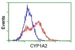 CYP1A2 Monoclonal Antibody (OTI2E9), TrueMAB , OriGene 30 &mu;L; Unconjugated:Antibodies,