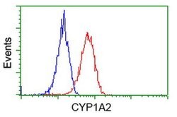 CYP1A2 Monoclonal Antibody (OTI2E9), TrueMAB , OriGene 30 &mu;L; Unconjugated:Antibodies,