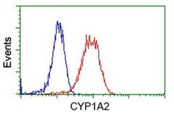 CYP1A2 Monoclonal Antibody (OTI2E9), TrueMAB , OriGene 30 &mu;L; Unconjugated:Antibodies,