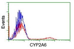 CYP2A6 Mouse anti-Human, Clone: OTI5F8, lyophilized, TrueMAB 100 &mu;g;