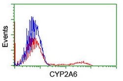 CYP2A6 Mouse anti-Human, Clone: OTI2A8, lyophilized, TrueMAB 100 &mu;g;