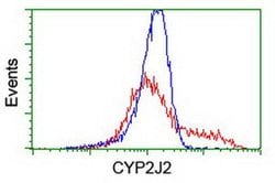 CYP2J2 Monoclonal Antibody (OTI2A9), TrueMAB , OriGene 30 &mu;L; Unconjugated:Antibodies,
