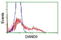 DAND5 Monoclonal Antibody (OTI3D4), TrueMAB , OriGene:Antibodies:Primary