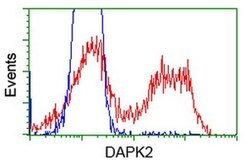 DAPK2 Monoclonal Antibody (OTI1C8), TrueMAB , OriGene 100 &mu;L | Buy Online | Origene Technologies | Fisher Scientific