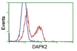 DAPK2 Monoclonal Antibody (OTI1B10), TrueMAB , OriGene 30 &mu;L; Unconjugated:Antibodies,