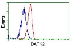 DAPK2 Monoclonal Antibody (OTI1B10), TrueMAB , OriGene 30 &mu;L; Unconjugated:Antibodies,