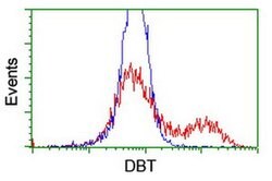 DBT Monoclonal Antibody (OTI1G2), TrueMAB , OriGene 30 &mu;L; Unconjugated:Antibodies,