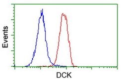 DCK Mouse anti-Human, Clone: OTI16E12, lyophilized, TrueMAB 100 &mu;g | Buy Online | Origene Technologies | Fisher Scientific