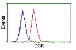 DCK Mouse anti-Human, Clone: OTI16G6, lyophilized, TrueMAB 100 &mu;g; Unconjugated:Antibodies,
