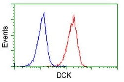 DCK Mouse anti-Human, Clone: OTI16G6, lyophilized, TrueMAB 100 &mu;g; Unconjugated:Antibodies,