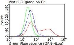 DCX Mouse anti-Human, Clone: OTI4A3, lyophilized, TrueMAB 100 &mu;g; Unconjugated:Antibodies,