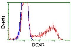 DCXR Mouse anti-Human, Clone: OTI4H10, liquid, TrueMAB 100 &mu;L; Unconjugated:Antibodies,