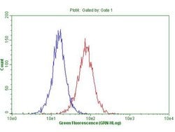 DECR1 Mouse anti-Human, Clone: OTI5D6, lyophilized, TrueMAB 100 &mu;g;
