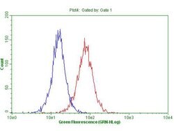 DECR1 Monoclonal Antibody (OTI5D6), TrueMAB , OriGene 30 &mu;L; Unconjugated:Antibodies,