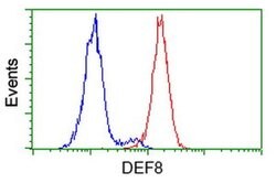 DEF8 Mouse anti-Human, Clone: OTI4B6, liquid, TrueMAB 100 &mu;L; Unconjugated:Antibodies,