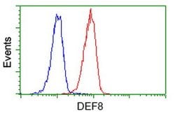 DEF8 Mouse anti-Human, Clone: OTI4B6, lyophilized, TrueMAB 100 &mu;g; Unconjugated:Antibodies,