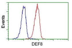 DEF8 Mouse anti-Human, Clone: OTI4B6, liquid, TrueMAB 100 &mu;L; Unconjugated:Antibodies,