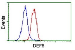 DEF8 Mouse anti-Human, Clone: OTI2H4, lyophilized, TrueMAB 100 &mu;g; Unconjugated:Antibodies,