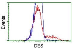 DES Monoclonal Antibody (OTI4G1), TrueMAB , OriGene 30 &mu;L; Unconjugated:Antibodies,