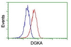 DGKA Mouse anti-Canine, Human, Rat, Clone: OTI3G7, lyophilized, TrueMAB