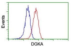 DGKA Monoclonal Antibody (OTI6A11), TrueMAB , OriGene:Antibodies:Primary