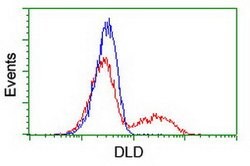 DLD Mouse anti-Canine, Human, Mouse, Rat, Clone: OTI8A10, lyophilized,