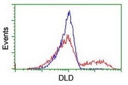 DLD Monoclonal Antibody (OTI4E11), TrueMAB , OriGene 30 &mu;L; Unconjugated:Antibodies,