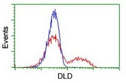 DLD Mouse anti-Canine, Human, Mouse, Rat, Clone: OTI5G7, liquid, TrueMAB
