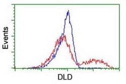 DLD Monoclonal Antibody (OTI4A10), TrueMAB , OriGene 30 &mu;L; Unconjugated:Antibodies,